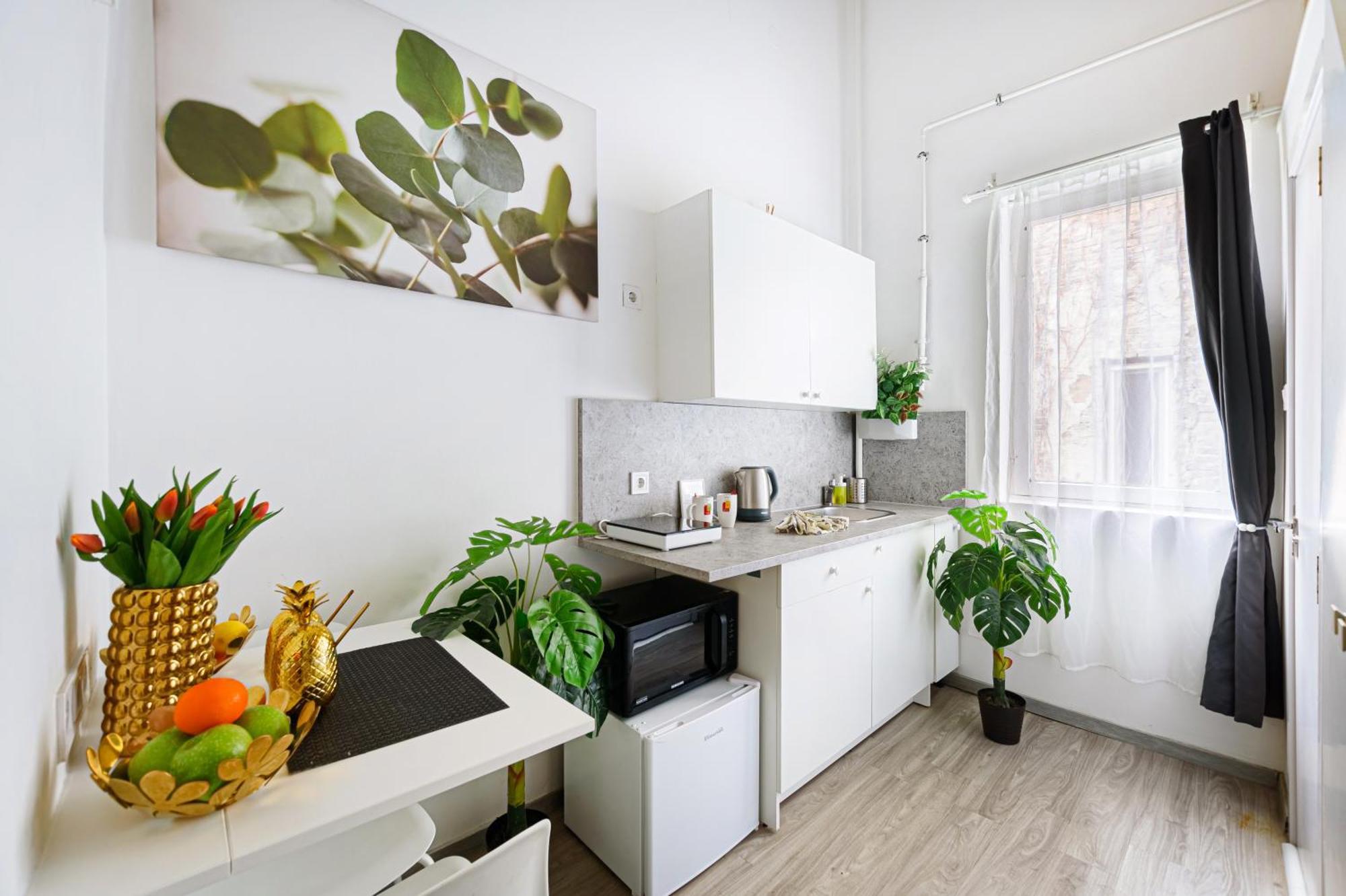 Apartment Florence Downtown Budapest